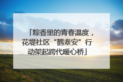 粽香里的青春温度，花堤社区“鹤耋安”行动架起跨代暖心桥