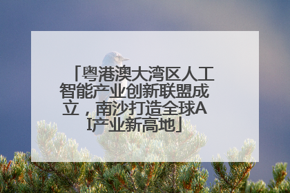 粤港澳大湾区人工智能产业创新联盟成立，南沙打造全球AI产业新高地