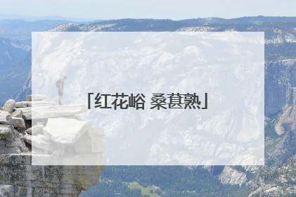 红花峪 桑葚熟
