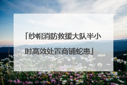 纱帽消防救援大队半小时高效处置商铺蛇患