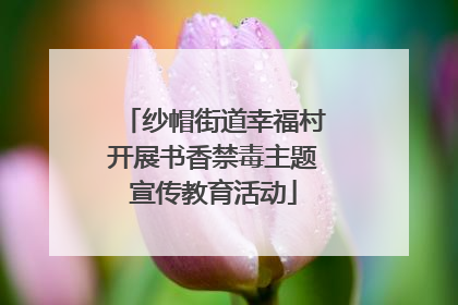 纱帽街道幸福村开展书香禁毒主题宣传教育活动