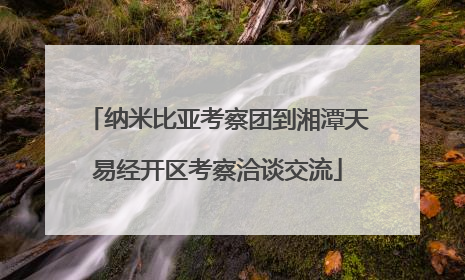 纳米比亚考察团到湘潭天易经开区考察洽谈交流
