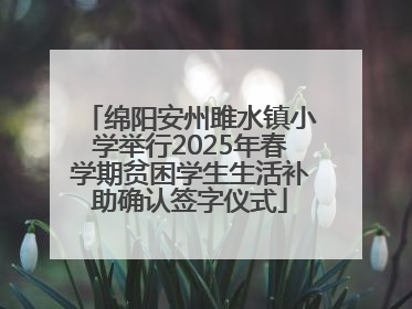 绵阳安州雎水镇小学举行2025年春学期贫困学生生活补助确认签字仪式