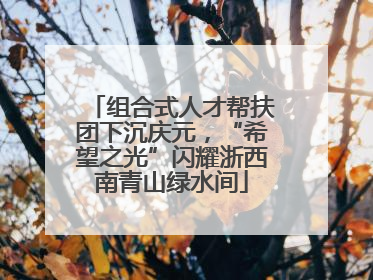 组合式人才帮扶团下沉庆元，“希望之光”闪耀浙西南青山绿水间