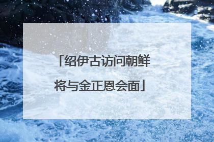 绍伊古访问朝鲜 将与金正恩会面
