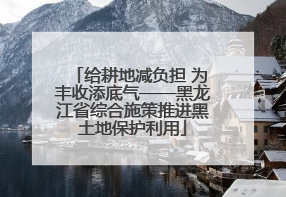 给耕地减负担 为丰收添底气——黑龙江省综合施策推进黑土地保护利用