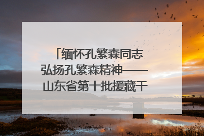 缅怀孔繁森同志 弘扬孔繁森精神——山东省第十批援藏干部人才清明节前到岗巴县开展党性教育