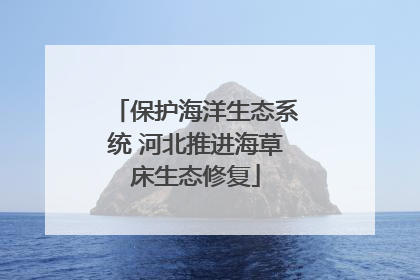 保护海洋生态系统 河北推进海草床生态修复