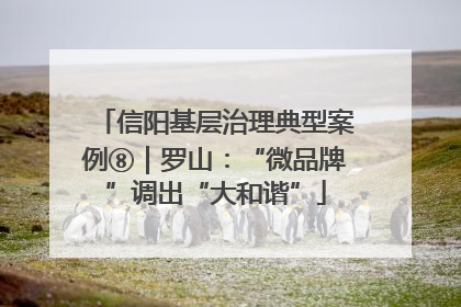 信阳基层治理典型案例⑧｜罗山：“微品牌”调出“大和谐”