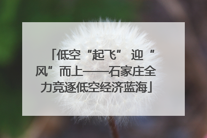 低空“起飞” 迎“风”而上——石家庄全力竞逐低空经济蓝海
