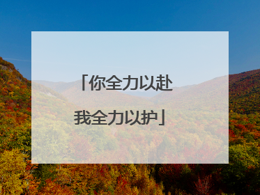 你全力以赴 我全力以护