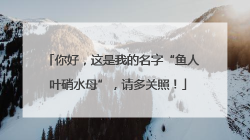 你好，这是我的名字“鱼人叶硝水母”，请多关照！