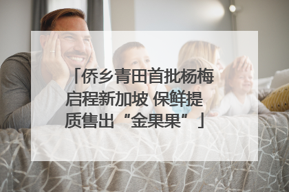 侨乡青田首批杨梅启程新加坡 保鲜提质售出“金果果”