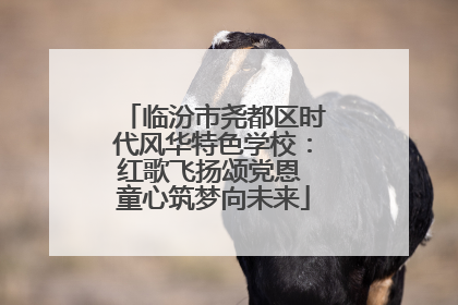 临汾市尧都区时代风华特色学校：红歌飞扬颂党恩 童心筑梦向未来