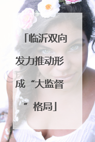临沂双向发力推动形成“大监督”格局