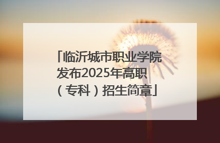 临沂城市职业学院发布2025年高职（专科）招生简章