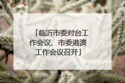 临沂市委对台工作会议、市委港澳工作会议召开