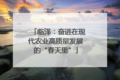 临泽：奋进在现代农业高质量发展的“春天里”