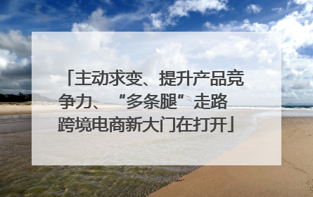 主动求变、提升产品竞争力、“多条腿”走路 跨境电商新大门在打开
