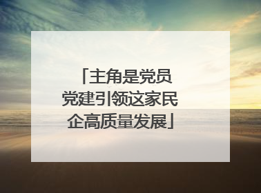 主角是党员 党建引领这家民企高质量发展
