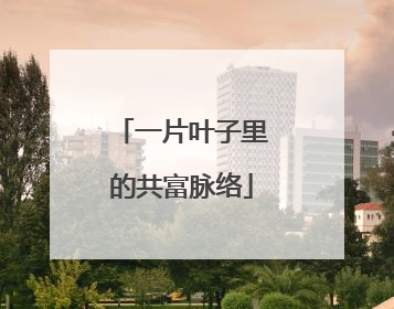 一片叶子里的共富脉络