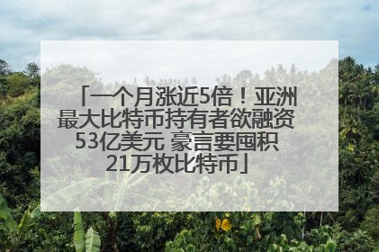 一个月涨近5倍！亚洲最大比特币持有者欲融资53亿美元 豪言要囤积21万枚比特币