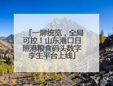 一屏统览，全局可控！山东港口日照港粮食码头数字孪生平台上线