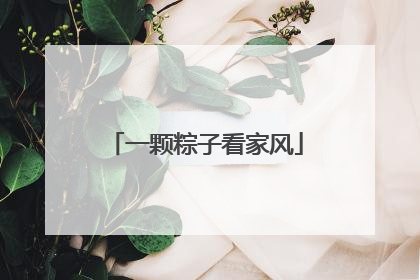 一颗粽子看家风