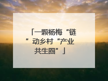 一颗杨梅“链”动乡村“产业共生圈”