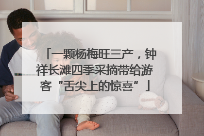 一颗杨梅旺三产，钟祥长滩四季采摘带给游客“舌尖上的惊喜”