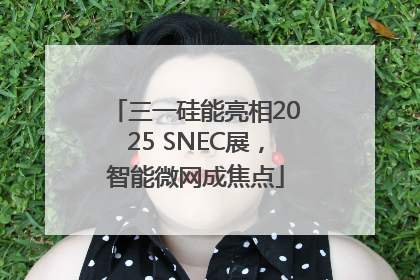 三一硅能亮相2025 SNEC展，智能微网成焦点