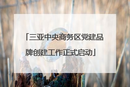 三亚中央商务区党建品牌创建工作正式启动