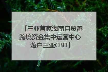 三亚首家海南自贸港跨境资金集中运营中心落户三亚CBD