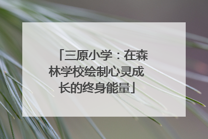 三原小学：在森林学校绘制心灵成长的终身能量