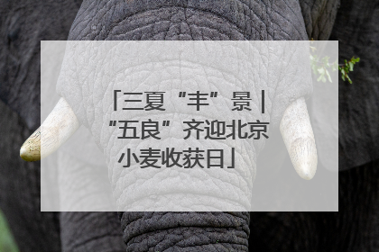 三夏“丰”景｜“五良”齐迎北京小麦收获日