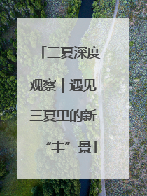 三夏深度观察｜遇见三夏里的新“丰”景