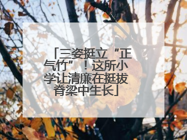 三姿挺立“正气竹”！这所小学让清廉在挺拔脊梁中生长