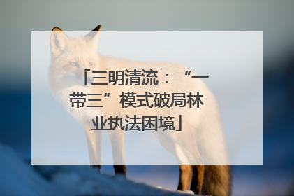 三明清流：“一带三”模式破局林业执法困境