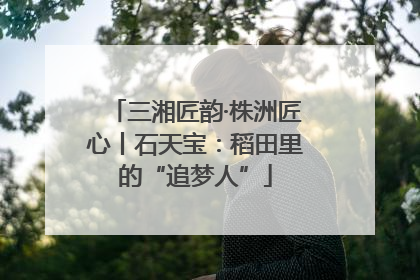 三湘匠韵·株洲匠心丨石天宝：稻田里的“追梦人”