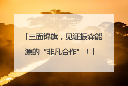 三面锦旗，见证振森能源的“非凡合作”！