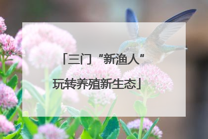 三门“新渔人”玩转养殖新生态