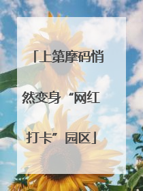 上第摩码悄然变身“网红打卡”园区