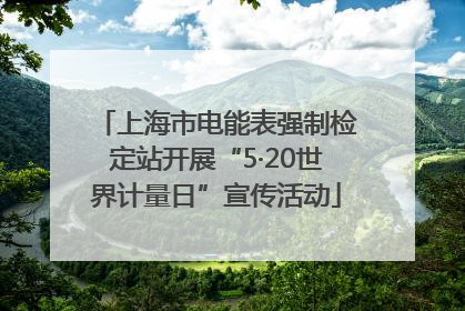 上海市电能表强制检定站开展“5·20世界计量日”宣传活动