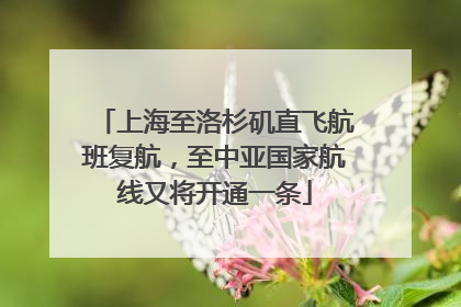 上海至洛杉矶直飞航班复航，至中亚国家航线又将开通一条