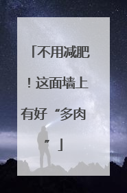 不用减肥！这面墙上有好“多肉”