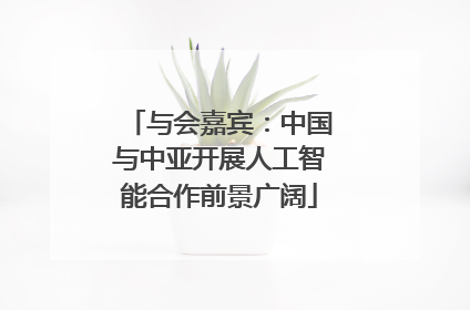 与会嘉宾：中国与中亚开展人工智能合作前景广阔