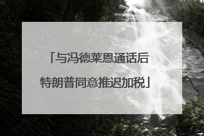 与冯德莱恩通话后 特朗普同意推迟加税