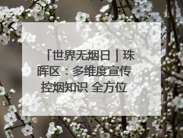 世界无烟日｜珠晖区：多维度宣传控烟知识 全方位共筑健康防线