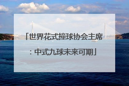 世界花式撞球协会主席：中式九球未来可期
