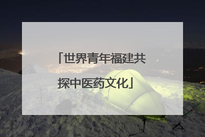 世界青年福建共探中医药文化
